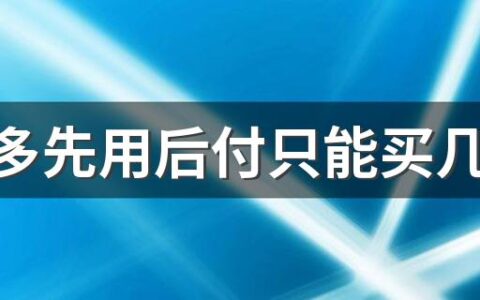 拼多多先用后付只能买几块钱的东西吗 拼多多先用后付使用注意事项有哪些