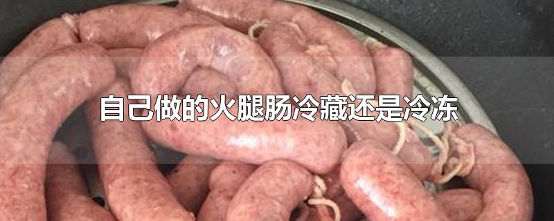 自己做的火腿肠冷藏还是冷冻