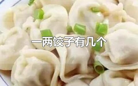 一两饺子有几个