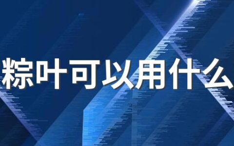 没有粽叶可以用什么代替 包粽子一定要用粽叶包吗