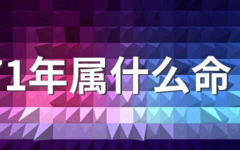 1971年属什么命 1971年属猪的五行是什么