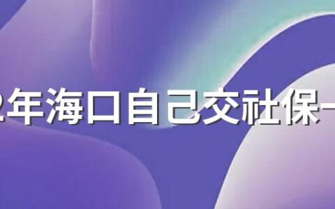 2022年海口自己交社保一月多少钱，五险交多少钱一个月