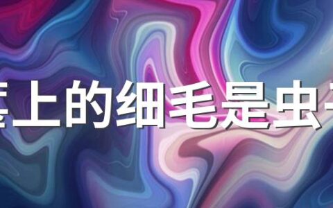 桑葚上的细毛是虫子吗 桑葚上面有很多小细毛可以吃吗