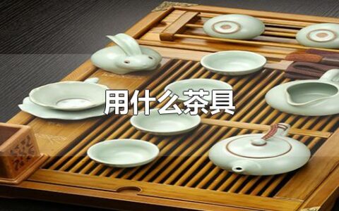 用什么茶具