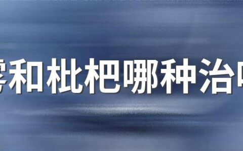 莲雾和枇杷哪种治咳嗽 莲雾对咳嗽有效果吗