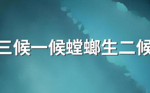 芒种三候一候螳螂生二候鹏始鸣三候反舌无声