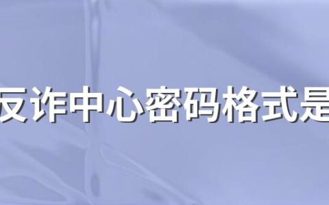 国家反诈中心密码格式是什么