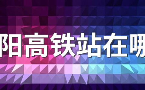 汉阳高铁站在哪里 汉阳高铁站最新进展2022