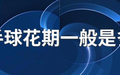 小手球花期一般是多久 小手球养护攻略