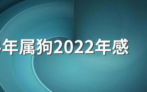 1994年属狗2022年感情运势 1994年属狗2022年事业运势