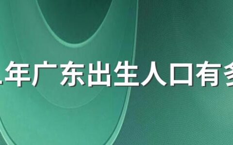 2021年广东出生人口有多少 2021年出生人口最多的城市排行榜