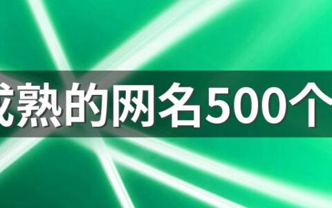 qq成熟的网名500个 稳重点的网名