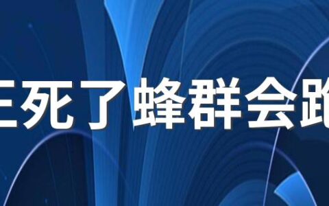 蜂王死了蜂群会跑吗 蜂王失去了蜂群还会正常工作吗