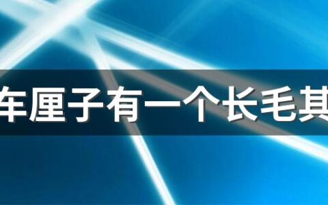 一盒车厘子有一个长毛其他的还能吃吗 车厘子外面黏糊糊的还能吃吗