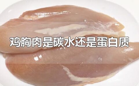 鸡胸肉是碳水还是蛋白质