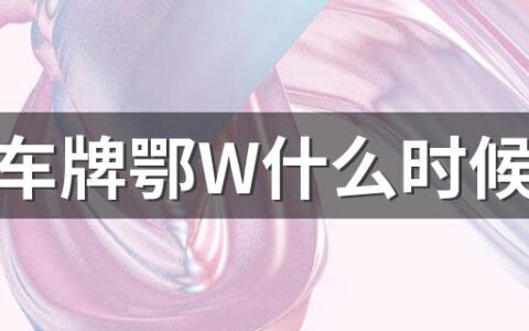 武汉车牌鄂W什么时候实行 武汉车牌鄂W适用于什么车