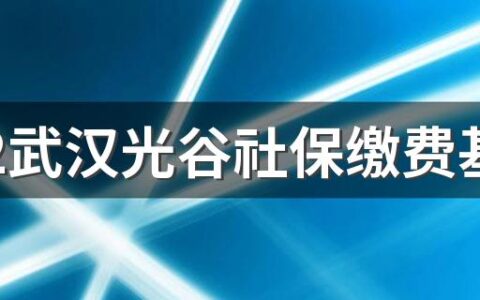 2022武汉光谷社保缴费基数及比例是多少 武汉光谷保险最低交多少钱一个月