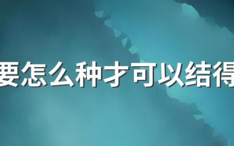 红薯要怎么种才可以结得多一点 红薯什么季节种植最好