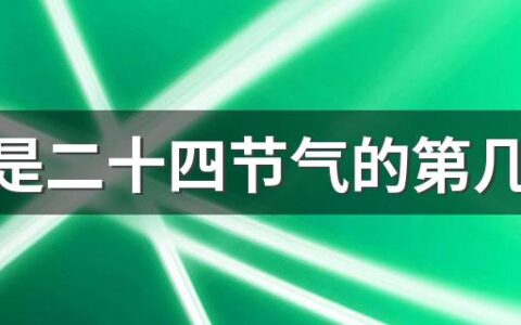 夏至是二十四节气的第几个节气 夏至养生需注意休息