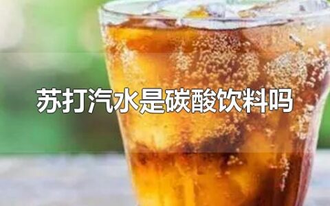 苏打汽水是碳酸饮料吗