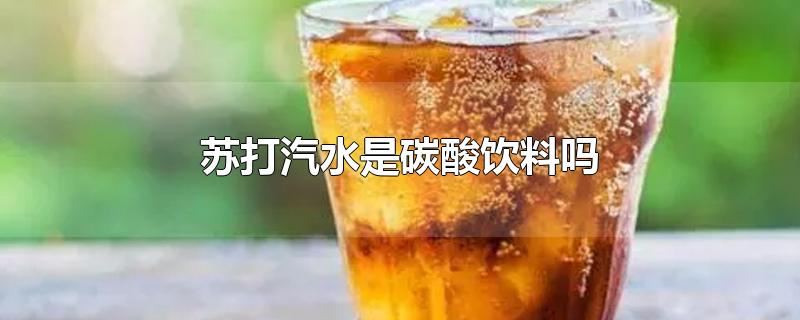 苏打汽水是碳酸饮料吗