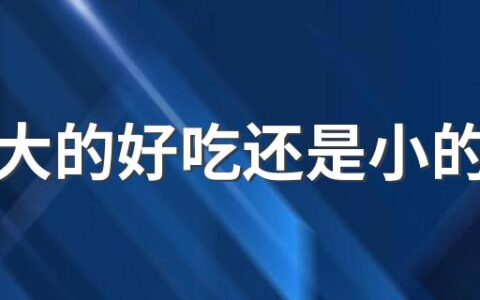 西梅大的好吃还是小的好吃 西梅为什么有紫色和红色的