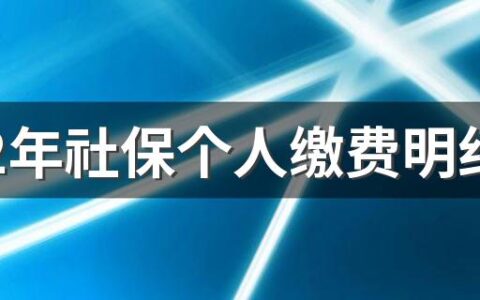 2022年社保个人缴费明细表 2022年的社保缴费标准是多少