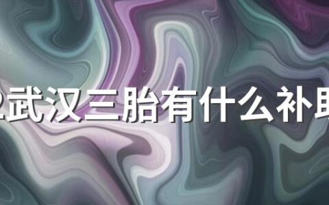 2022武汉三胎有什么补助政策 2022年武汉市三胎上户口流程