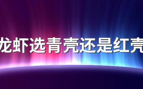 买小龙虾选青壳还是红壳有什么不同 怎么买新鲜的小龙虾