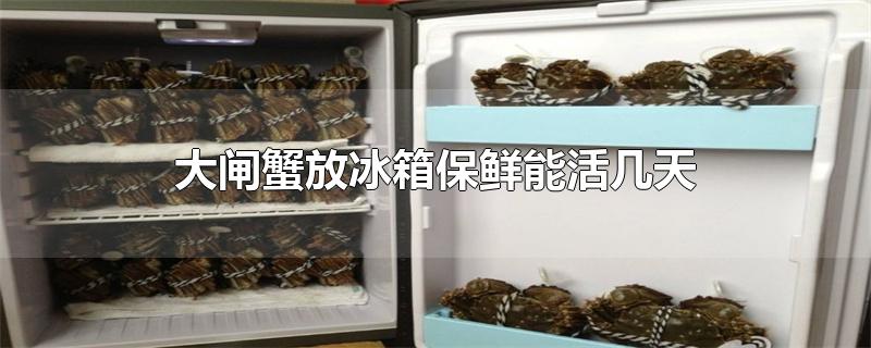 大闸蟹放冰箱保鲜能活几天