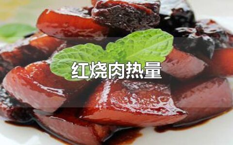 红烧肉热量