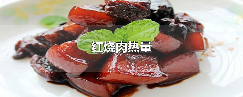 红烧肉热量