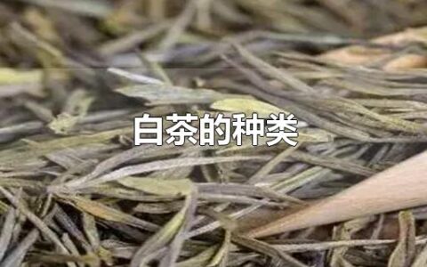 白茶的种类