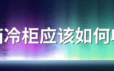 冰箱冷柜应该如何收纳 冰箱和冰柜产品怎么选