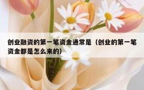 创业融资的第一笔资金通常是（创业的第一笔资金都是怎么来的）