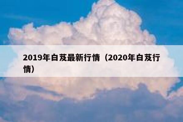 2019年白芨最新行情（2020年白芨行情） 第1张