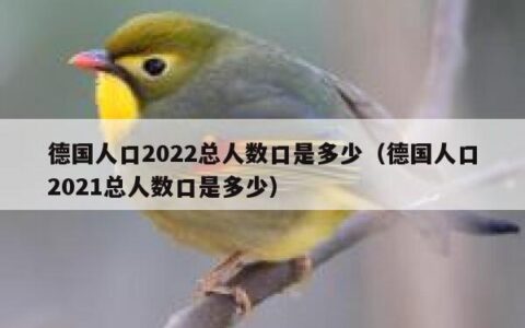 德国人口2022总人数口是多少（德国人口2021总人数口是多少）