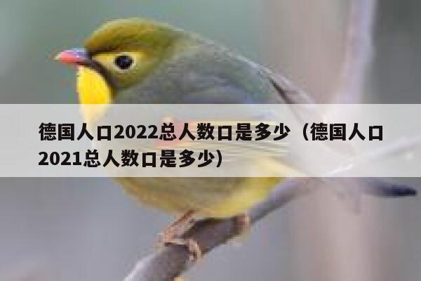 德国人口2022总人数口是多少（德国人口2021总人数口是多少） 第1张