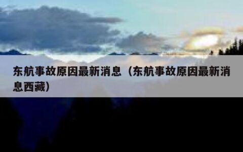 东航事故原因最新消息（东航事故原因最新消息西藏）