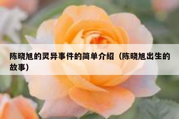 陈晓旭的灵异事件的简单介绍（陈晓旭出生的故事） 第1张