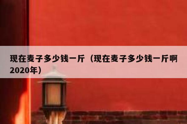 现在麦子多少钱一斤（现在麦子多少钱一斤啊2020年） 第1张