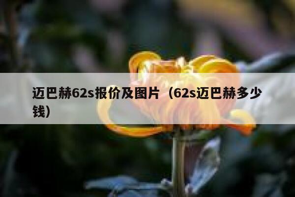 迈巴赫62s报价及图片（62s迈巴赫多少钱） 第1张