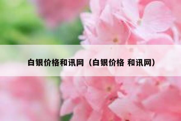 白银价格和讯网（白银价格 和讯网） 第1张