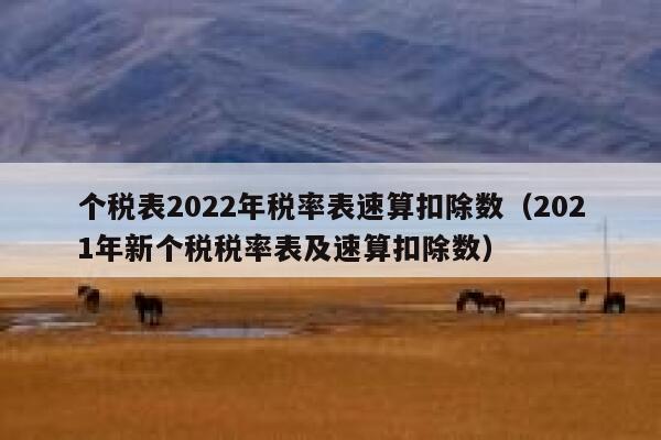 个税表2022年税率表速算扣除数（2021年新个税税率表及速算扣除数） 第1张