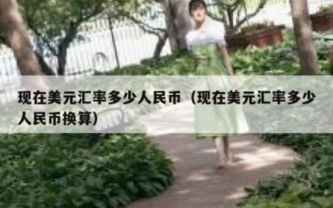 现在美元汇率多少人民币（现在美元汇率多少人民币换算）