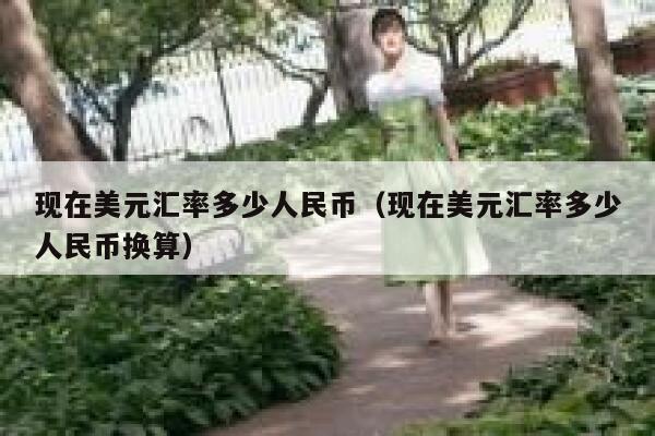 现在美元汇率多少人民币（现在美元汇率多少人民币换算） 第1张