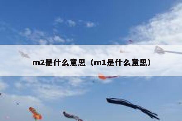 m2是什么意思（m1是什么意思） 第1张