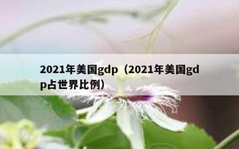 2021年美国gdp（2021年美国gdp占世界比例）