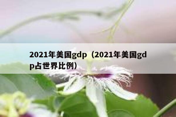 2021年美国gdp（2021年美国gdp占世界比例） 第1张