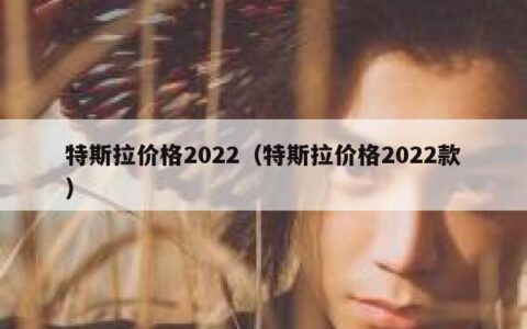 特斯拉价格2022（特斯拉价格2022款）